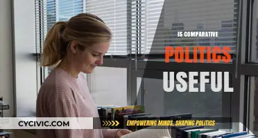 Is Comparative Politics Useful? Exploring Its Relevance and Applications