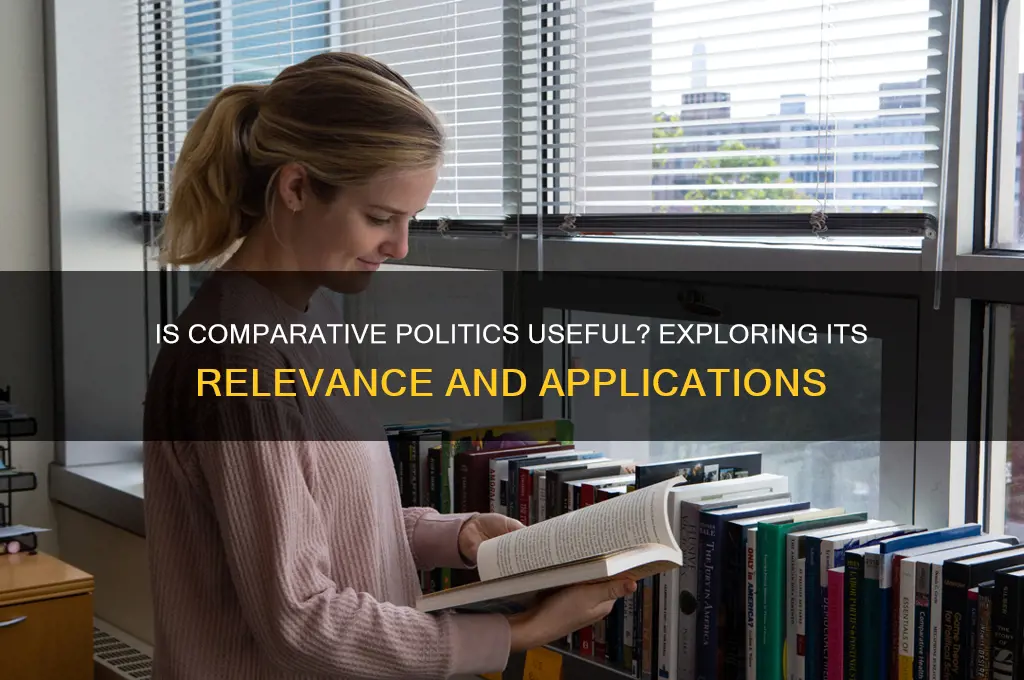 is comparative politics useful
