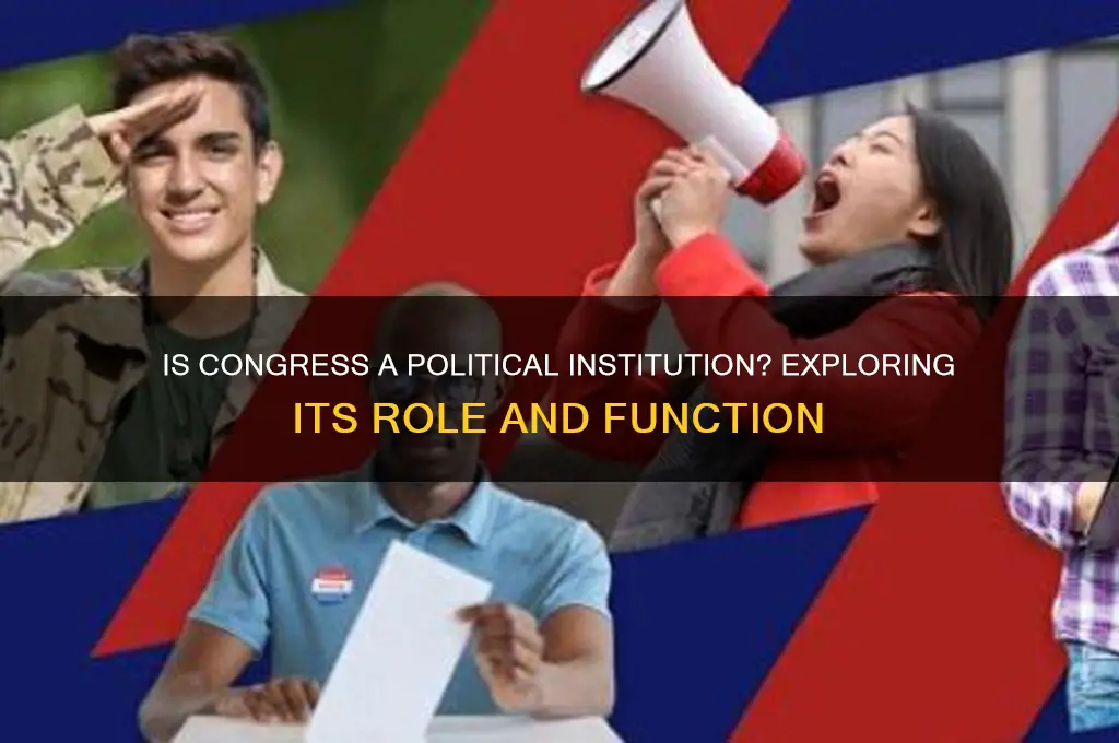 is congress a political institution