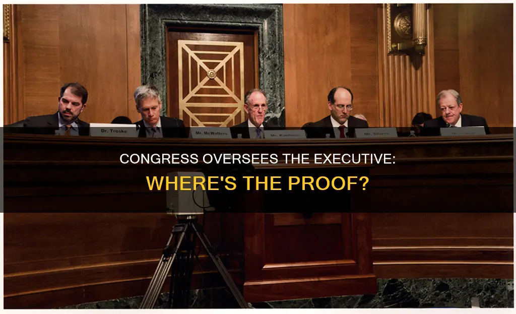 is congressional oversight of executive branch in the constitution