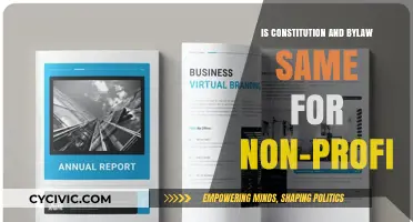 Understanding Non-Profit Bylaws and Constitutions