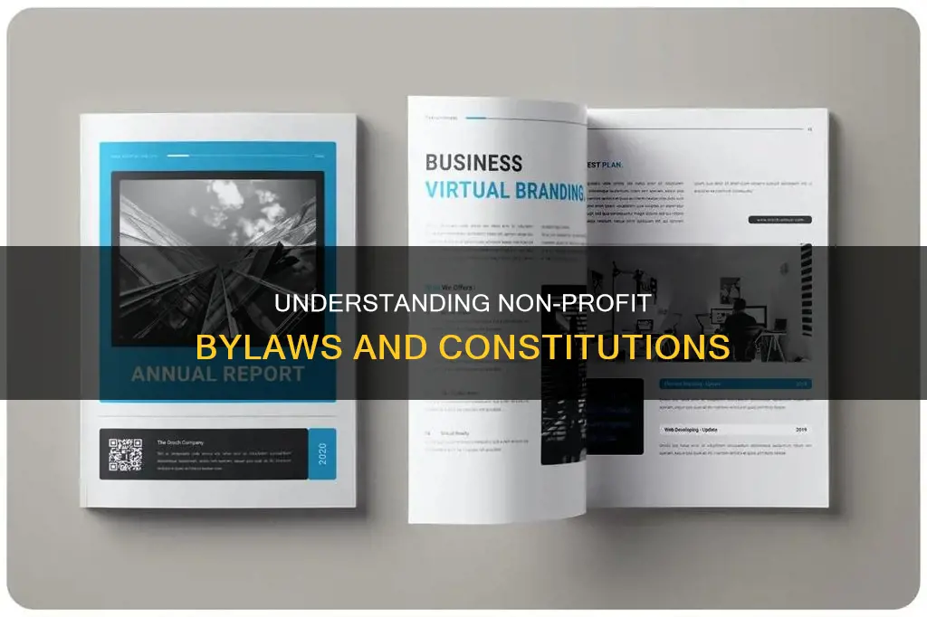 is constitution and bylaw same for non-profi