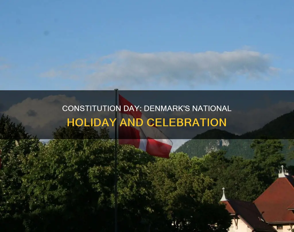is constitution day a national holiday in denmark