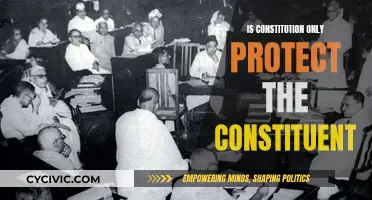 The Constitution: Protecting the People or the Powerful?