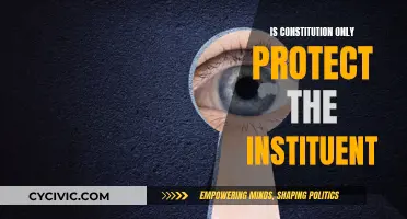 The Constitution: Guardian of Institutions or People?
