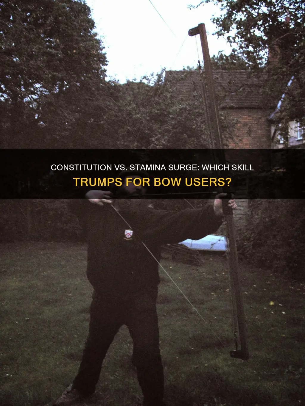 is constitution or stamina surge better for bow users