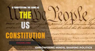 What Makes the US Constitution Unique?