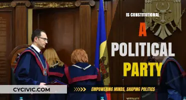 Is a Constitutional Political Party Feasible or a Legal Paradox?