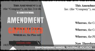 Capitalizing Constitutional Amendments: A Style Guide Conundrum