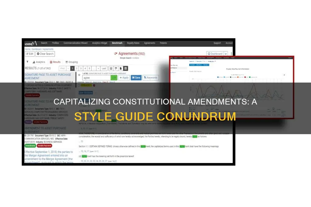 is constitutional amendment capitalized