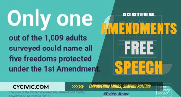 Amendments and Free Speech: A Complex Relationship