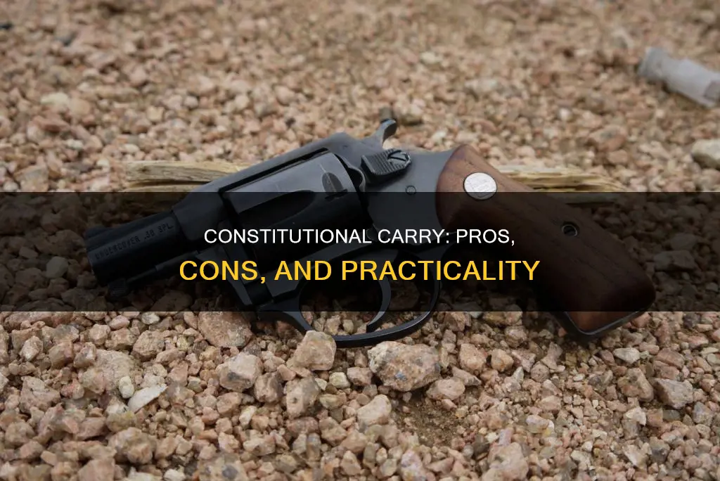 is constitutional carry a good idea