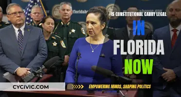 Constitutional Carry in Florida: What's the Law Now?
