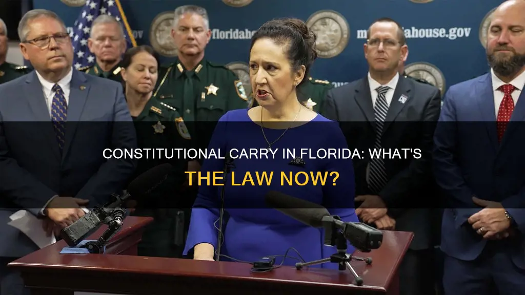 is constitutional carry legal in florida now