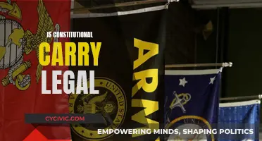 Constitutional Carry: Legal or Not?
