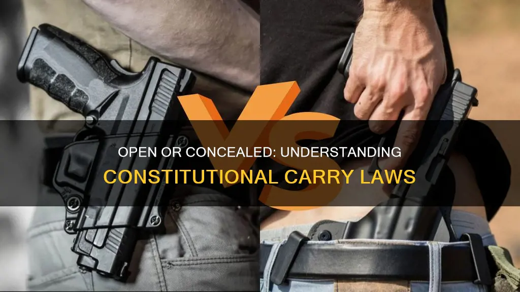 is constitutional carry open or concealed