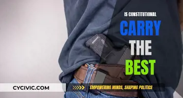 Constitutional Carry: Best Option for Gun Rights?