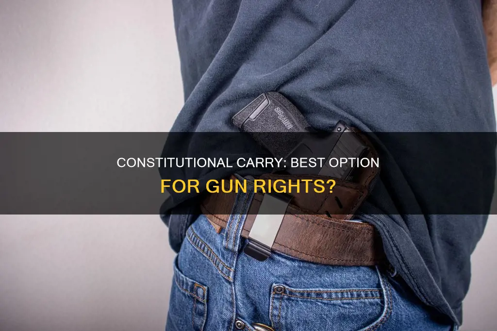 is constitutional carry the best