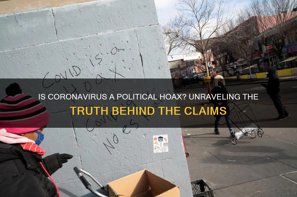 is coronavirus a political hoax
