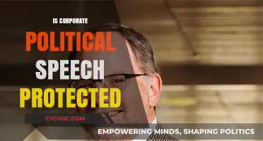 Is Corporate Political Speech Protected? Legal Boundaries and Free Speech Debates