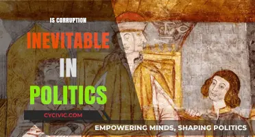 Is Corruption Inevitable in Politics? Exploring the Roots and Remedies