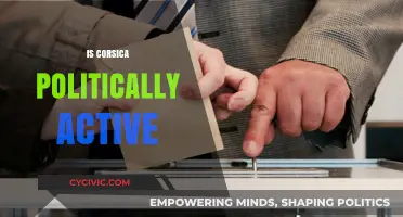 Corsica's Political Engagement: Activism, Autonomy, and National Identity Explored