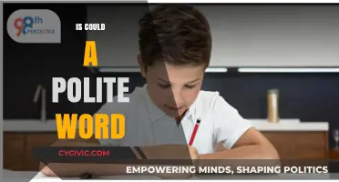 Is 'Could' Truly Polite? Exploring Its Nuances in Modern Communication