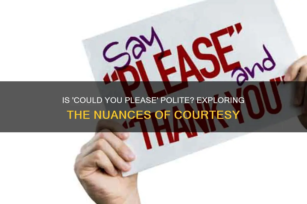 is could you please polite
