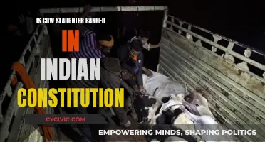 Cow Slaughter: India's Constitutional Conundrum