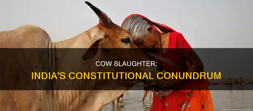 is cow slaughter banned in indian constitution