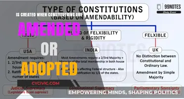 Constitutional Amendments: Creating Historical Turning Points