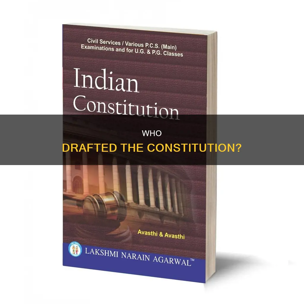 is credited as the lead author of the constitution