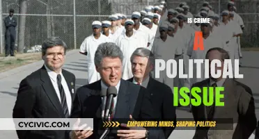 Crime and Politics: Unraveling the Complex Relationship Between Law and Power