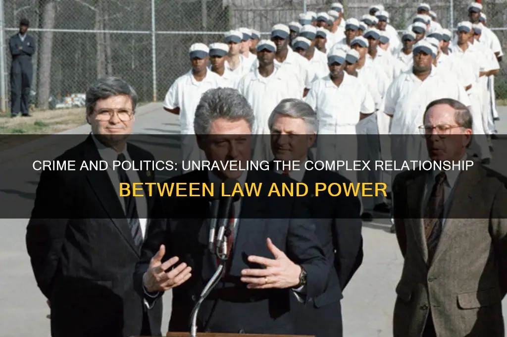 is crime a political issue