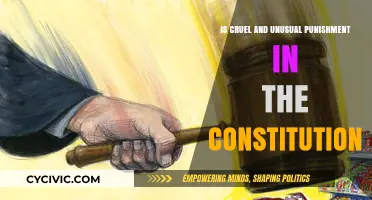 Cruel and Unusual Punishment: What the Constitution Says