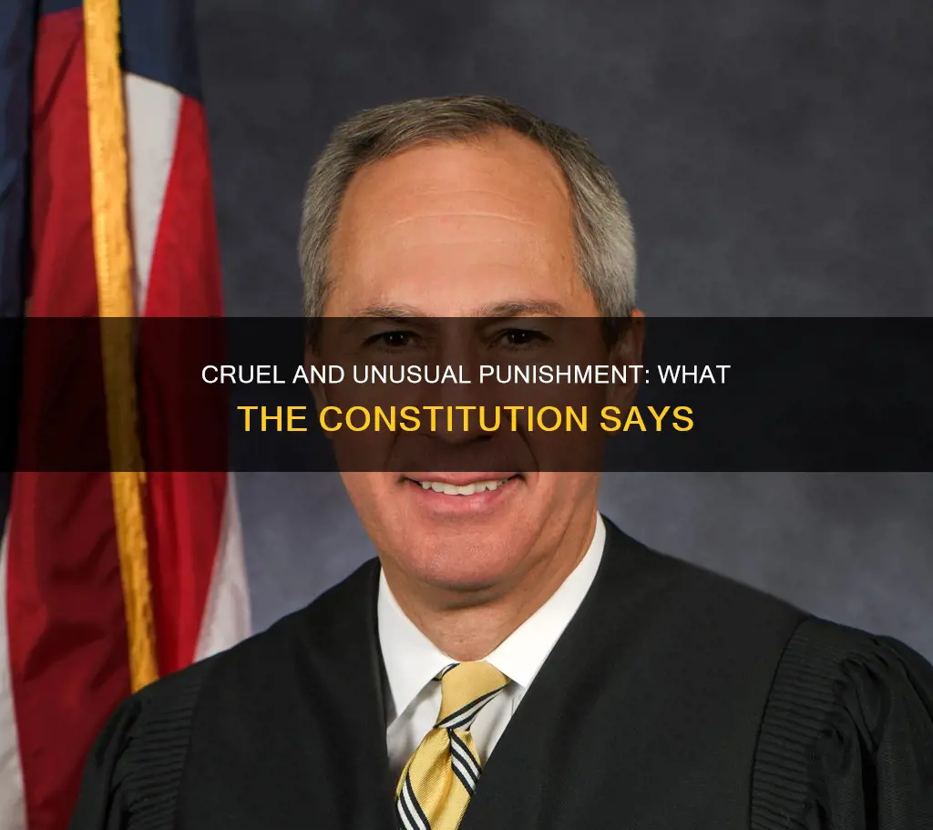 is cruel and unusual punishment in the constitution