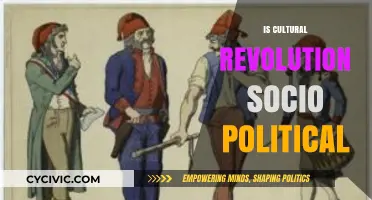 Cultural Revolution: A Socio-Political Catalyst or Destructive Force?