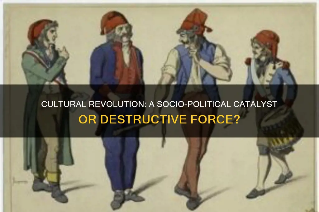 is cultural revolution socio political