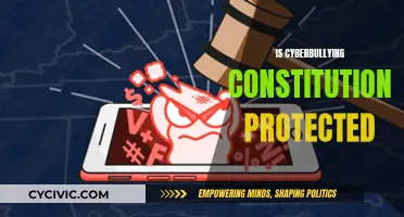 Cyberbullying: Free Speech or Criminal Act?