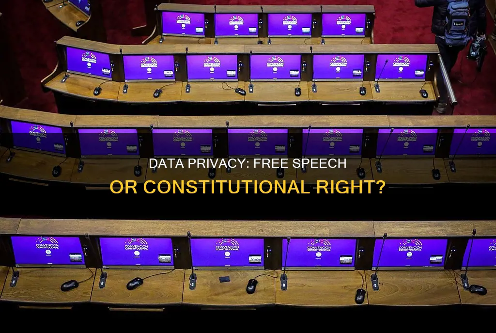 is data constitutionally protected expresiom