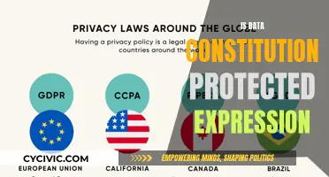 Data Privacy: Constitutional Protection for Expression?