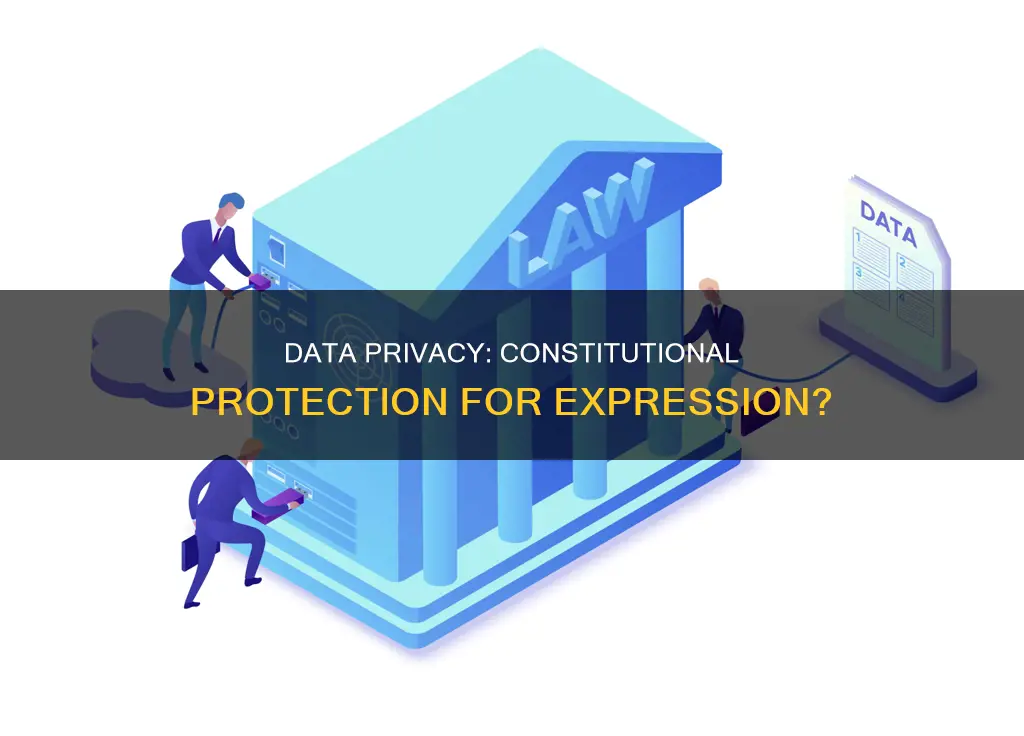 is data constitutionally protected expression
