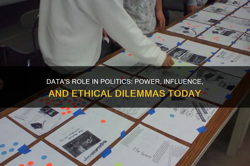 is data still serving politics