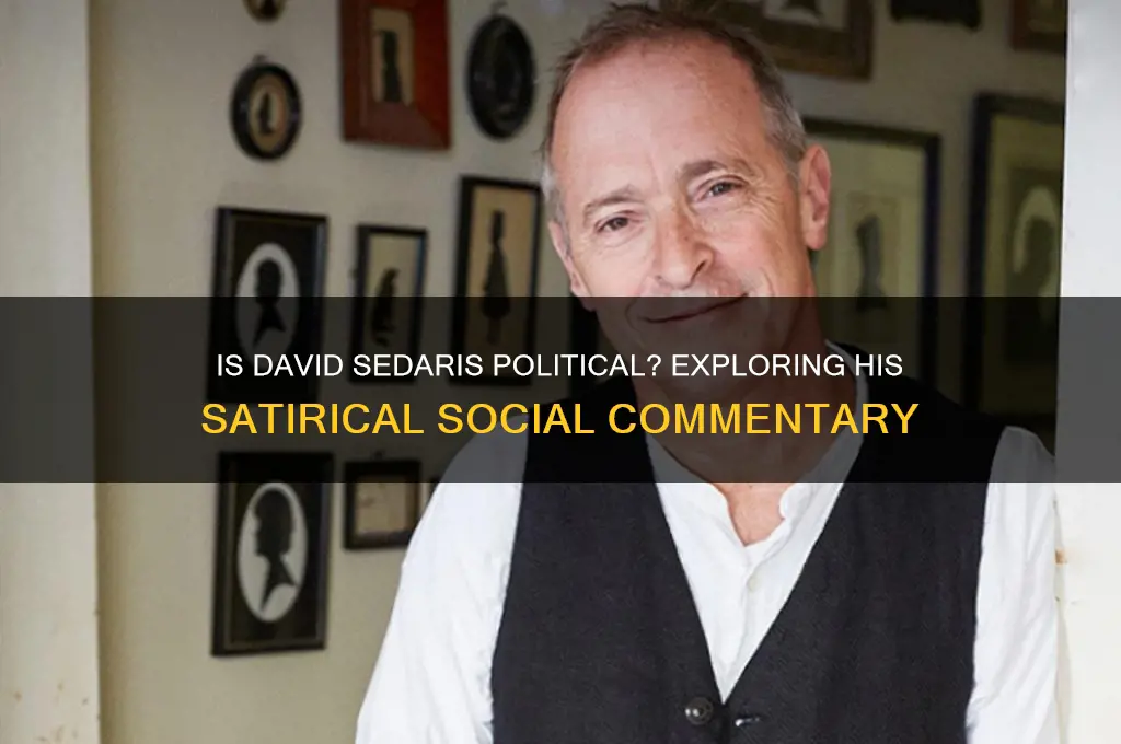 is david sedaris political