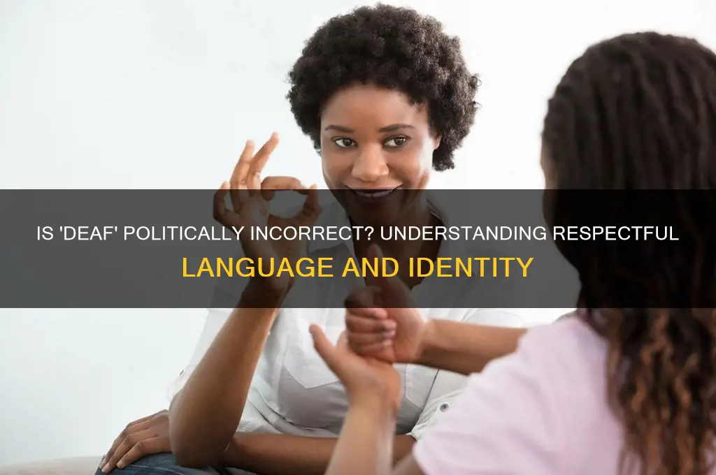 is deaf politically incorrect