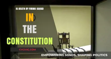Firing Squad Executions: Are They Constitutional?