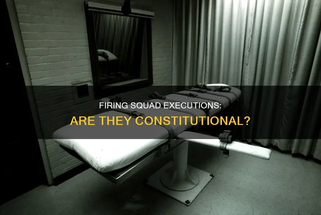 is death by firing squad in the constitution