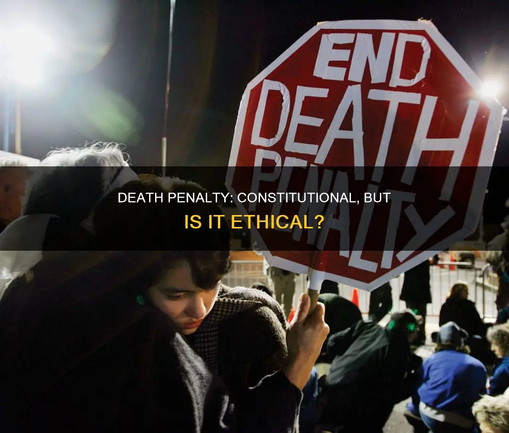 is death penalty constitutional good or bad essay