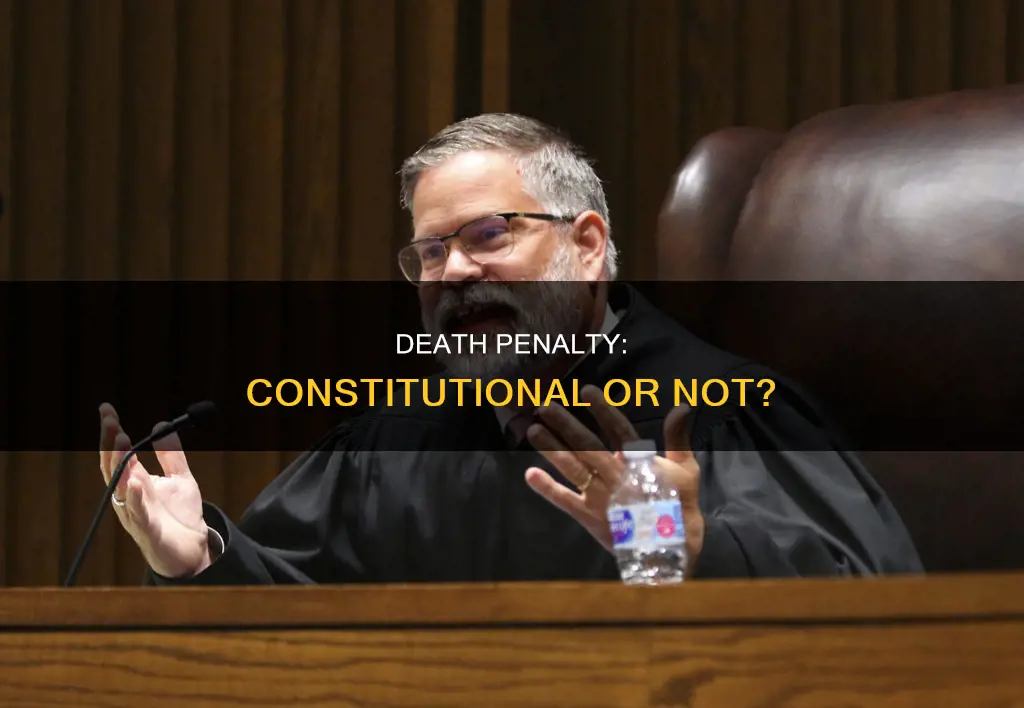 is death penalty constitutional yes or no essay