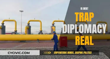 Debt Trap Diplomacy: Real or Rhetoric?